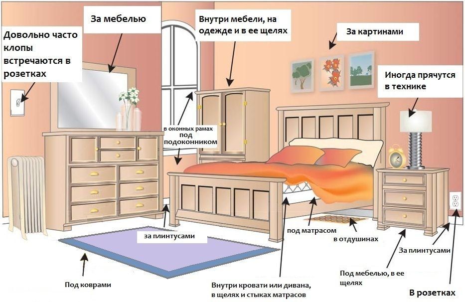 Дезинфекция матрасов в общежитиях